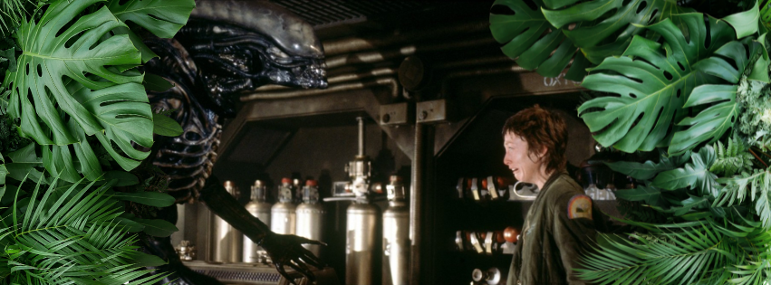The scene from Alien (1979) where Veronica Cartwright’s character meets a databroker.