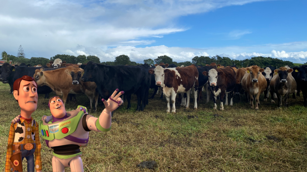Crudely photoshopped Buzz Lightyear and Woody from the x, x everywhere meme atop a field with many cows in it.