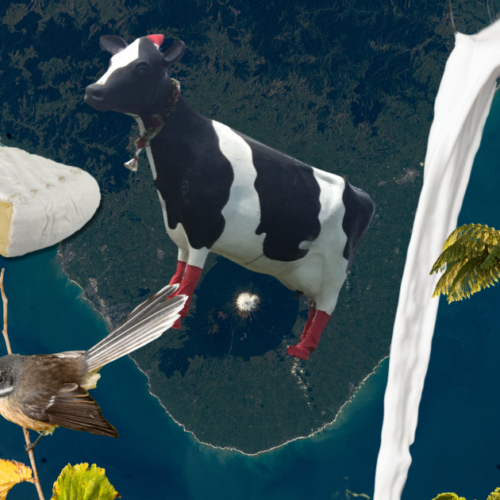 A crudely photoshopped digital collage of elements from the story including a cow shrine, rimu leaves, ponga growth, Buzz and Woody, milk and cheese.