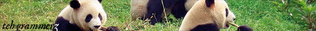 The banner image for 'teh grammerz' features pandas eating shoots and leaves.